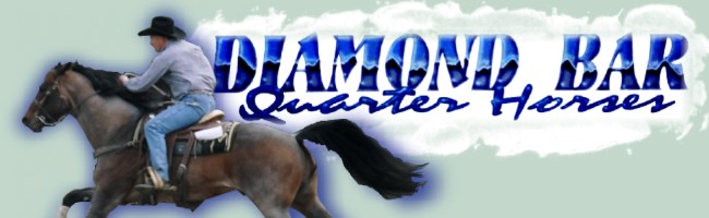 Diamond Bar Quarter Horses